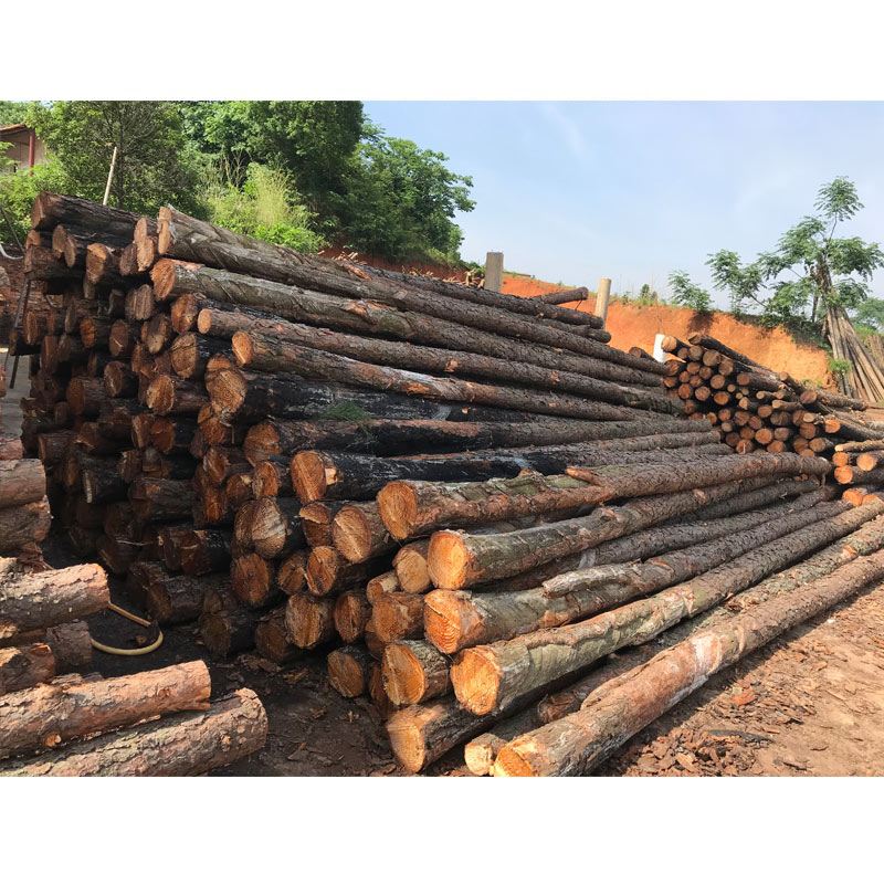 松木樁使用注意事項(xiàng)有哪些？