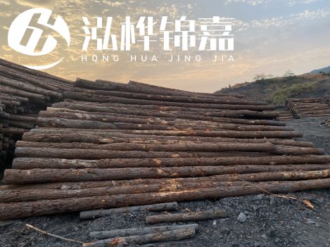 微信圖片_20220411123100