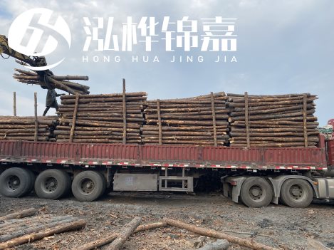 打樁木材為何首選松木？松木樁應該怎么打樁施工