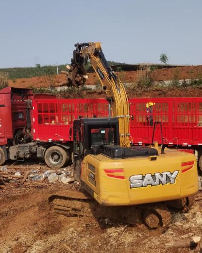 <a href=http://www.jlpx.com.cn/ target=_blank class=infotextkey>松木樁</a>原木