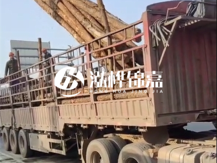 4米長杉木10公分價格-4.5米直徑15cm 杉木多少錢？