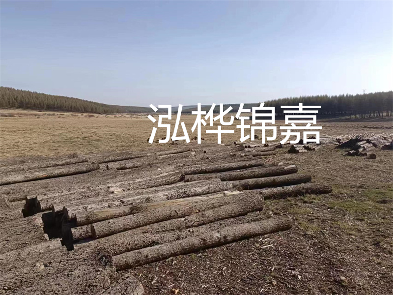 鄂州松木樁哪里好?推薦泓樺錦嘉松木樁業(yè)!