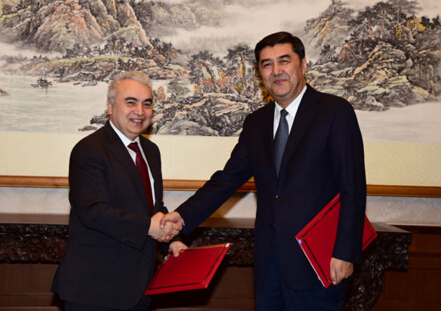 國家發展改革委副主任、國家能源局局長努爾·白克力